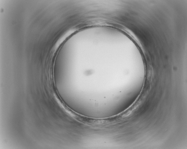 X0000057101293200510071927