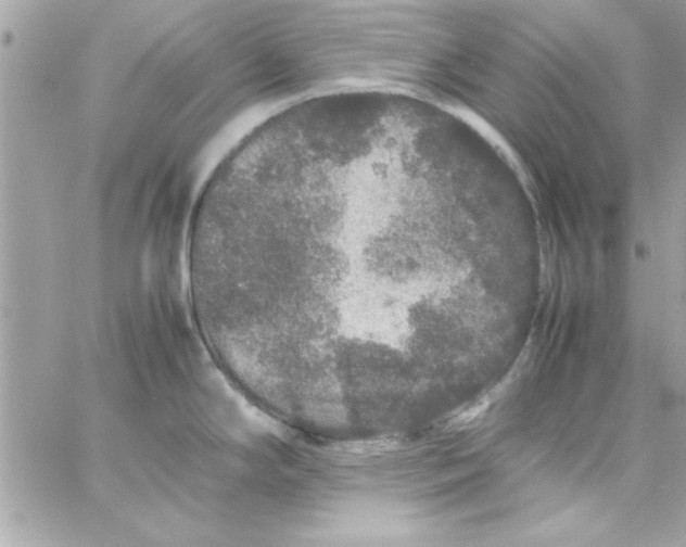 X0000057101294200510071927