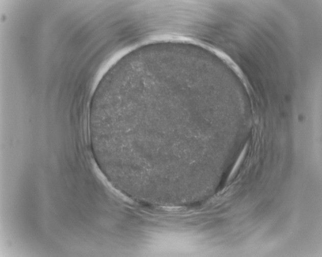 X0000057101295200510071927