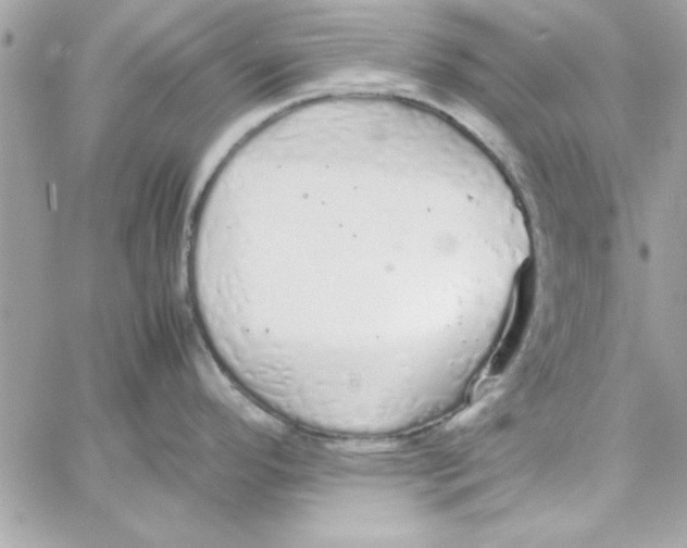 X0000057101296200510071927