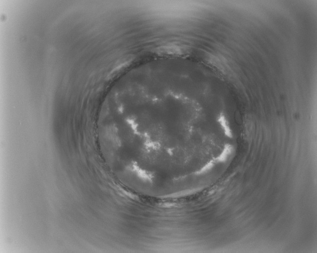 X0000057101297200510071926