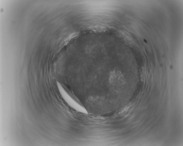 X0000057101298200510071926