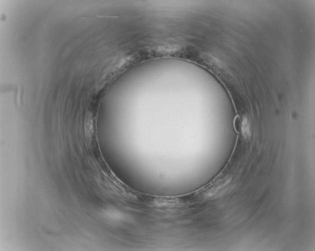 X0000057101299200510071926