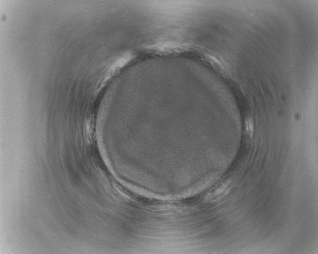 X0000057101300200510071926