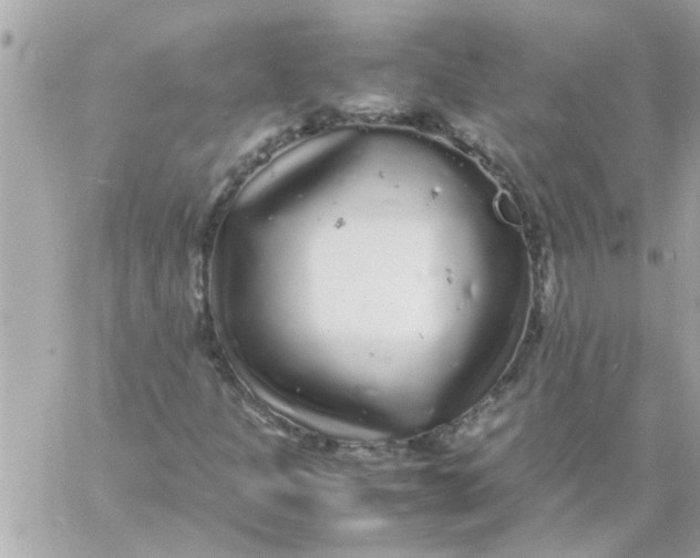 X0000057101301200510071926