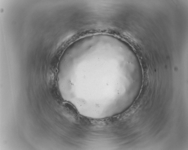 X0000057101302200510071926