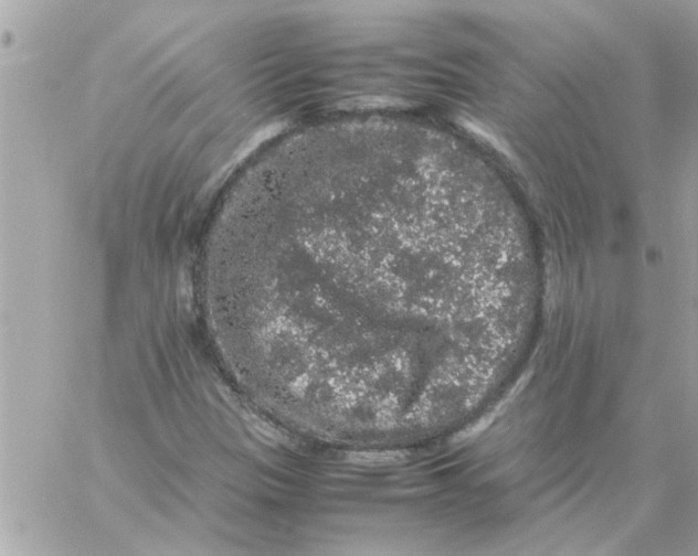 X0000057101305200510071927