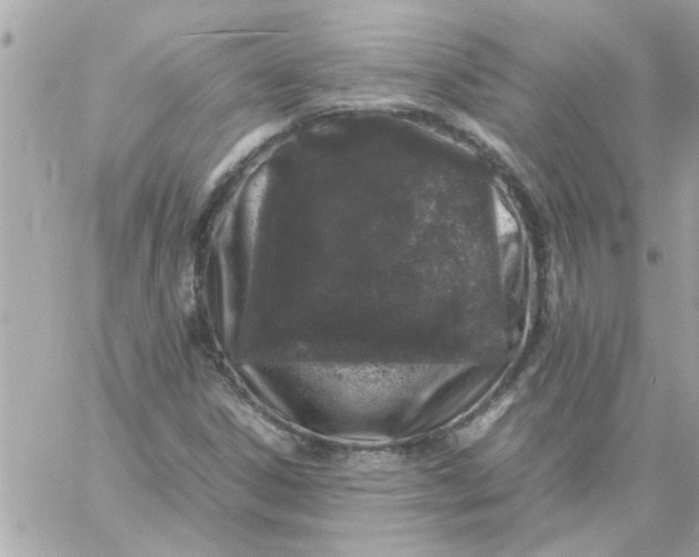 X0000057101306200510071927