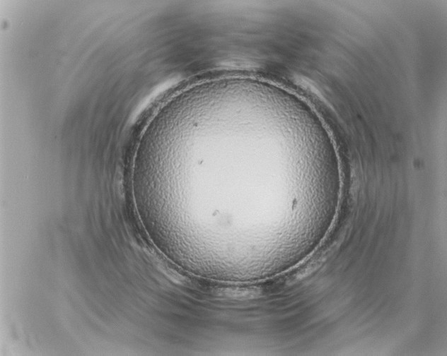 X0000057101307200510071927