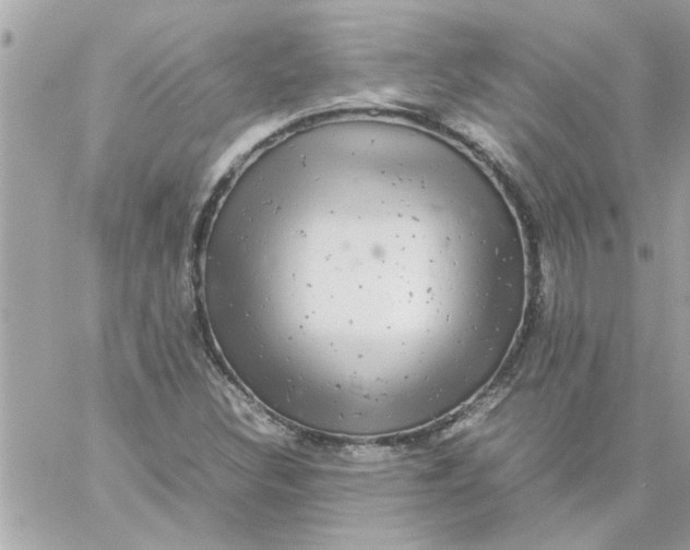 X0000057101308200510071927