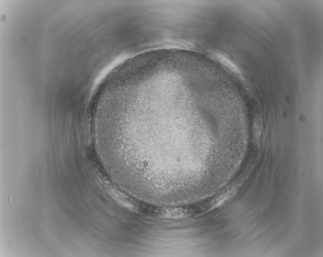 X0000057101310200510071927