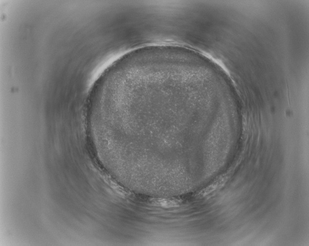 X0000057101311200510071927