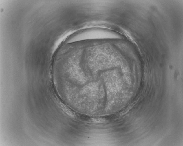 X0000057101312200510071927