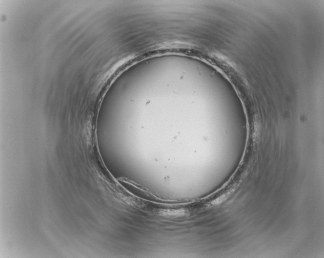 X0000057101313200510071927