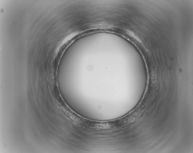 X0000057101315200510071927