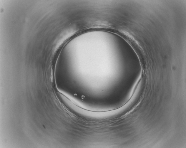 X0000057101317200510071927