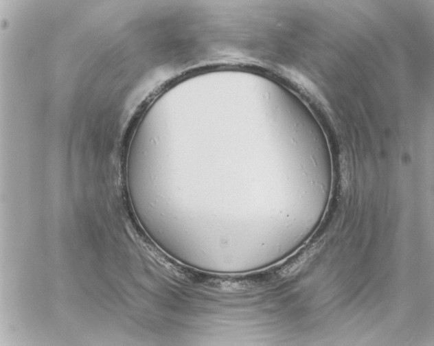 X0000057101318200510071927