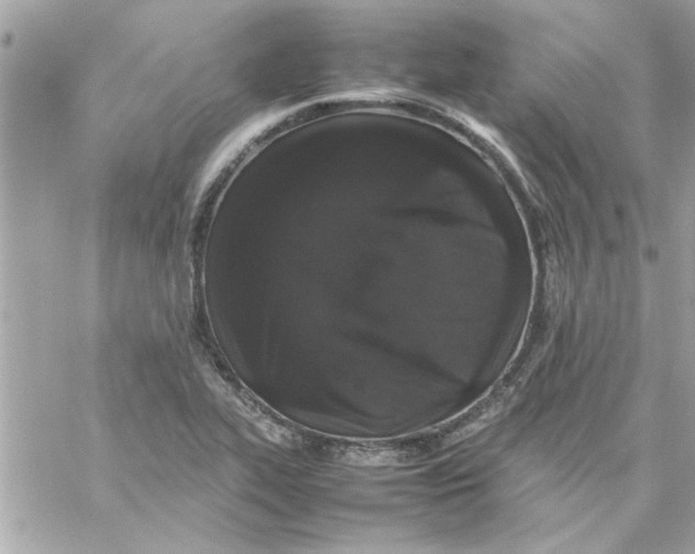 X0000057101319200510071927