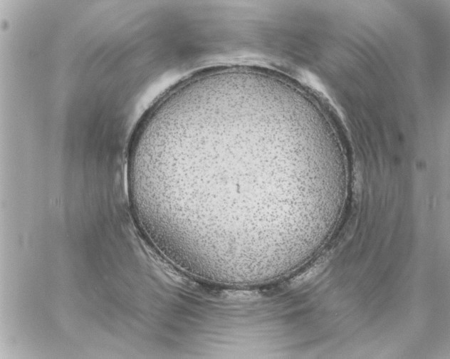 X0000057101320200510071927