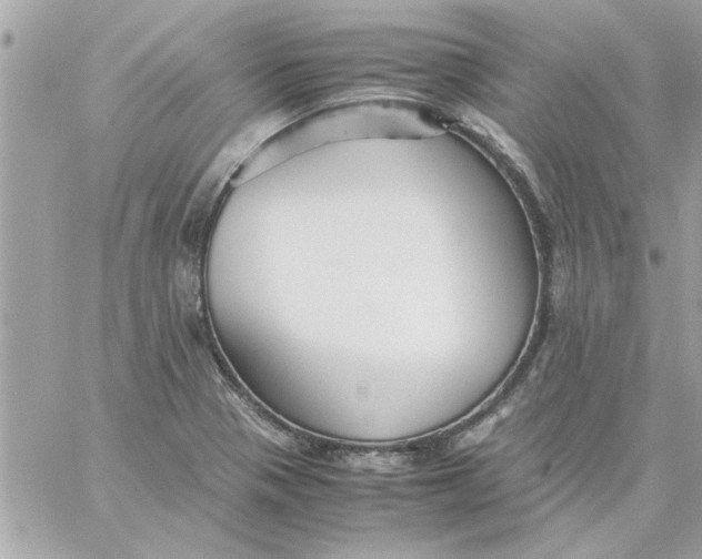 X0000057101321200510071927