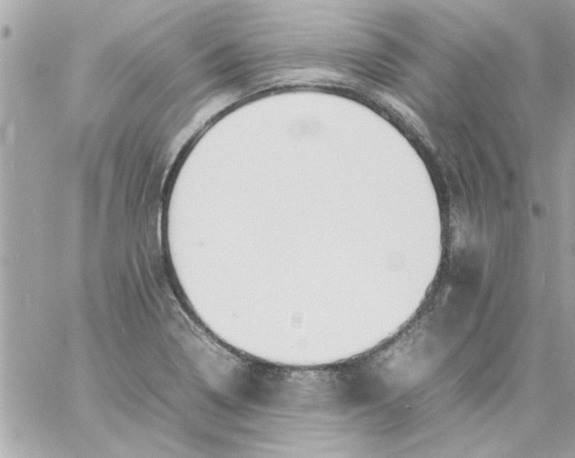 X0000057101322200510071927