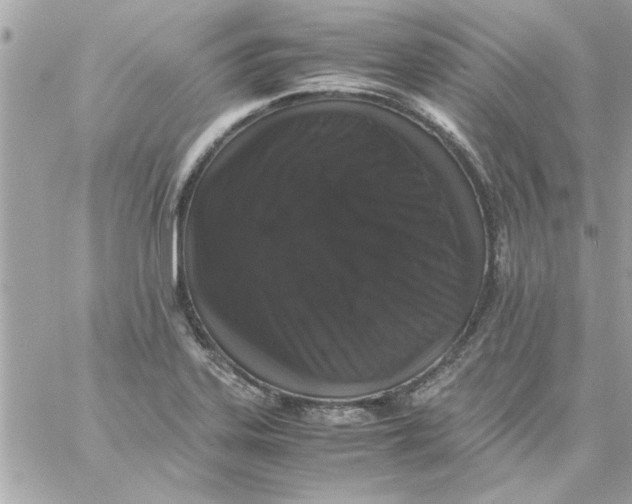 X0000057101323200510071927