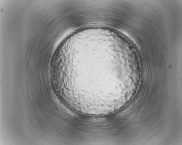 X0000057101325200510071927