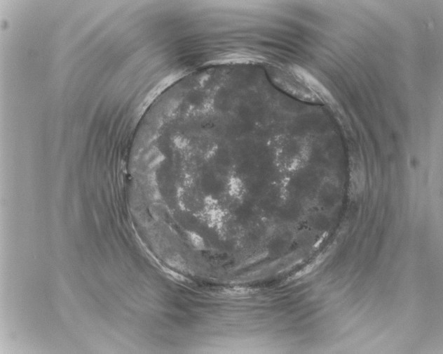 X0000057101329200510071927