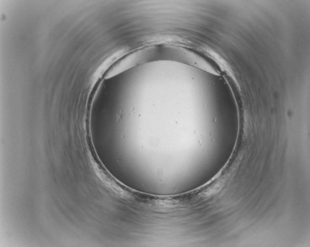 X0000057101330200510071927