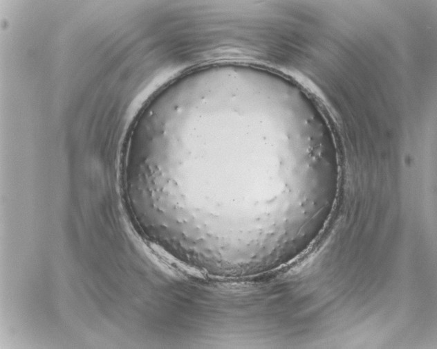 X0000057101333200510071927