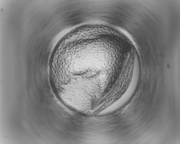 X0000057101335200510071927