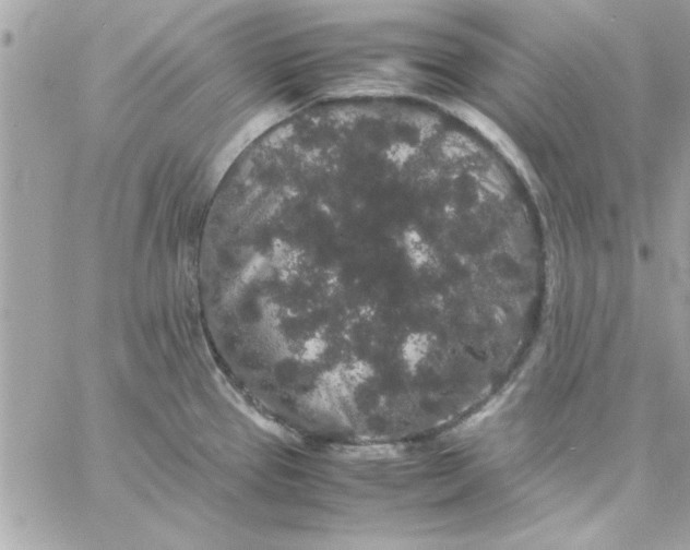 X0000057101337200510071927