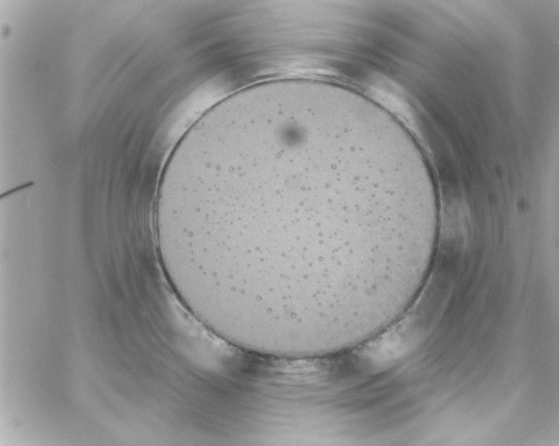 X0000057101338200510071927