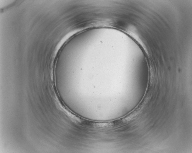 X0000057101339200510071927