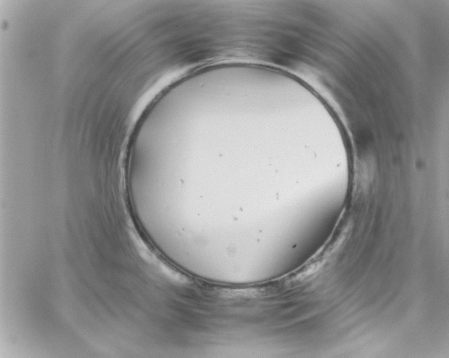 X0000057101341200510071927