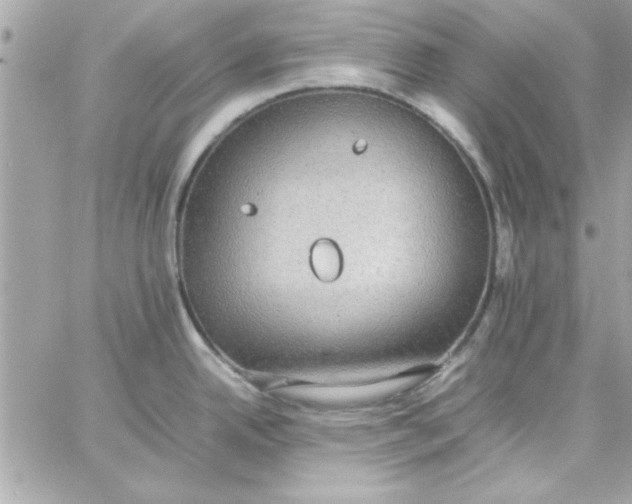 X0000057101342200510071927