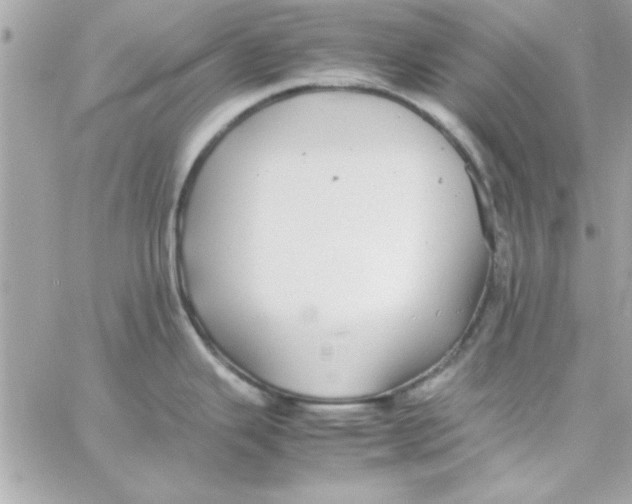 X0000057101343200510071927