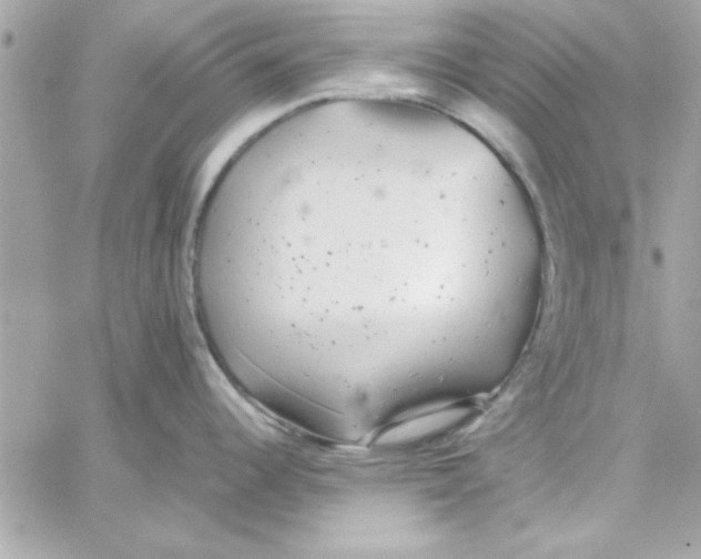 X0000057101344200510071927