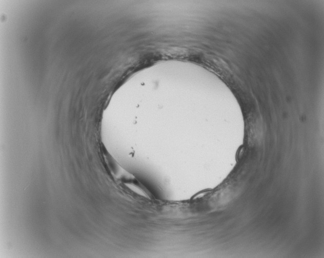 X0000057101345200510071926