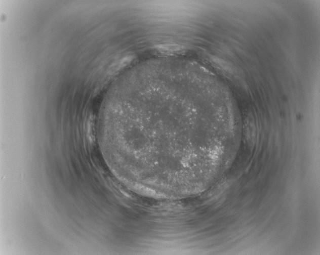 X0000057101346200510071926