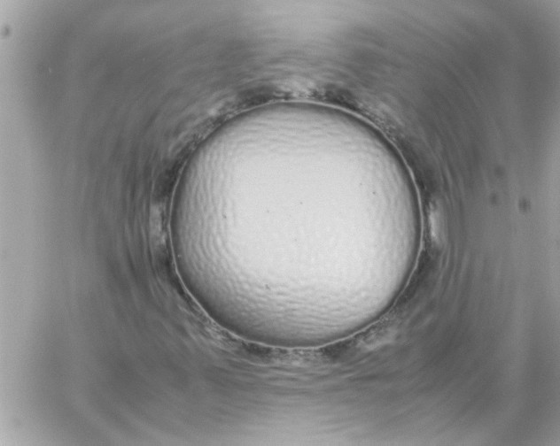 X0000057101347200510071926