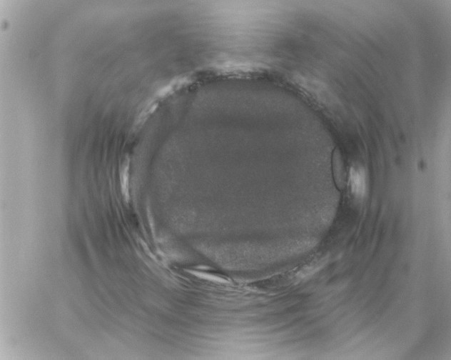 X0000057101348200510071926