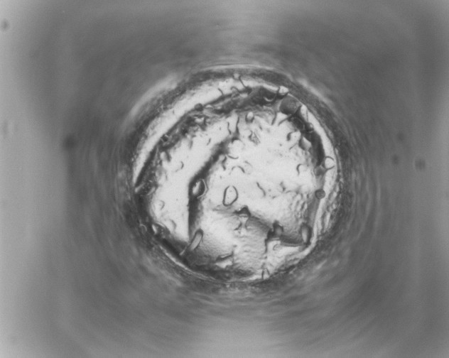 X0000057101351200510071926