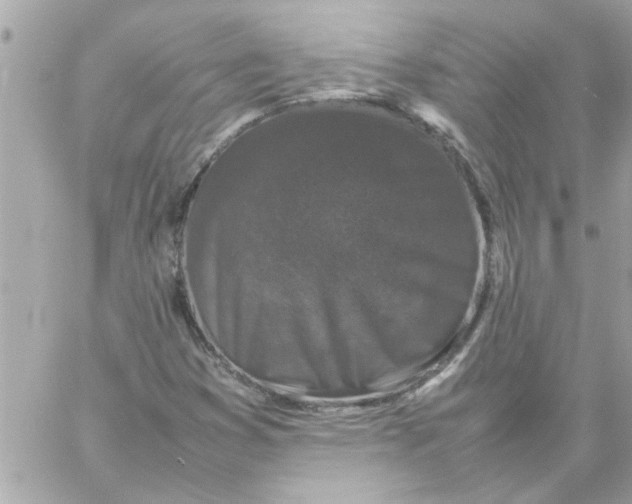 X0000057101353200510071926