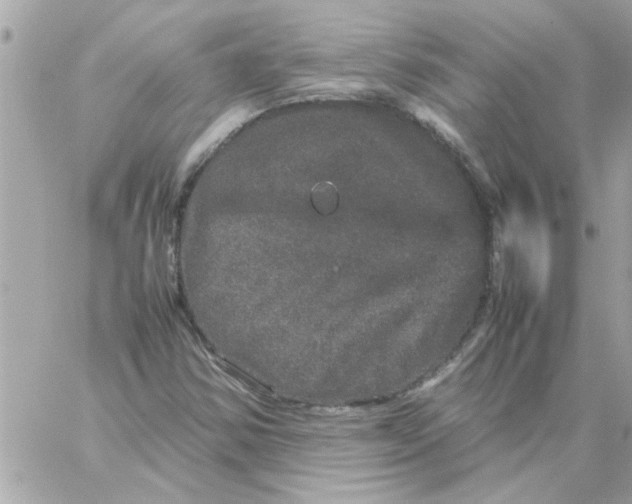 X0000057101354200510071926