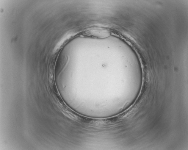 X0000057101355200510071926