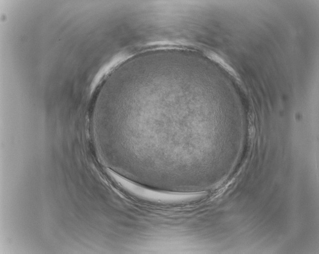 X0000057101357200510071926