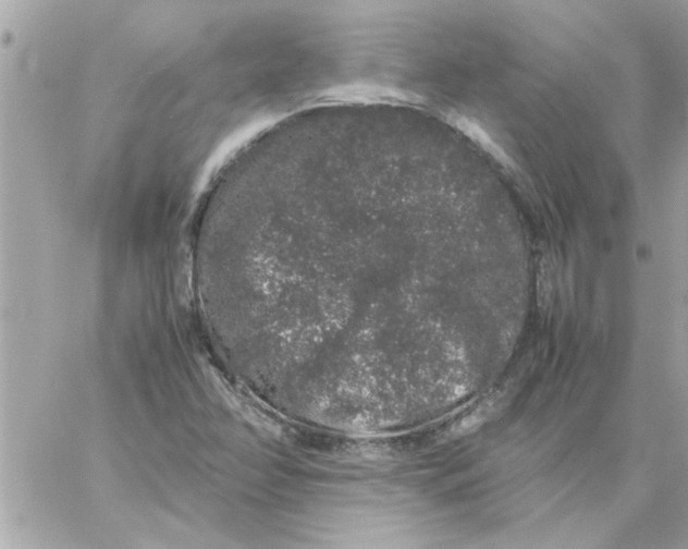 X0000057101358200510071926