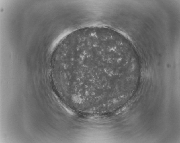 X0000057101359200510071926