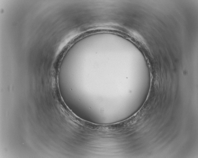 X0000057101360200510071926